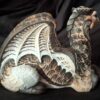 Owl Dragon