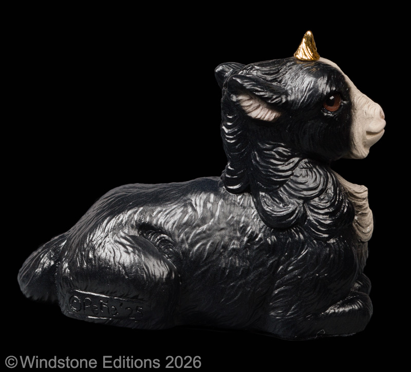 Gothic-Unicorn-Kid_Old-Black_Pic2