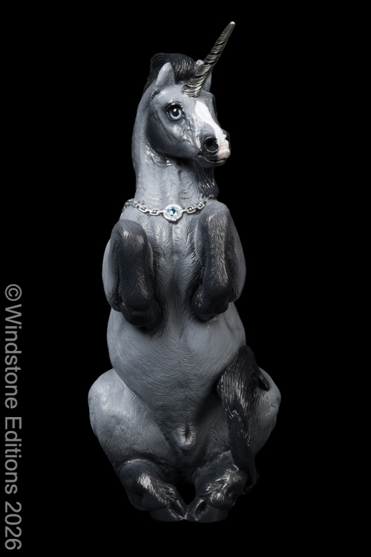 Male Unicorn Dapple Grey Pic2