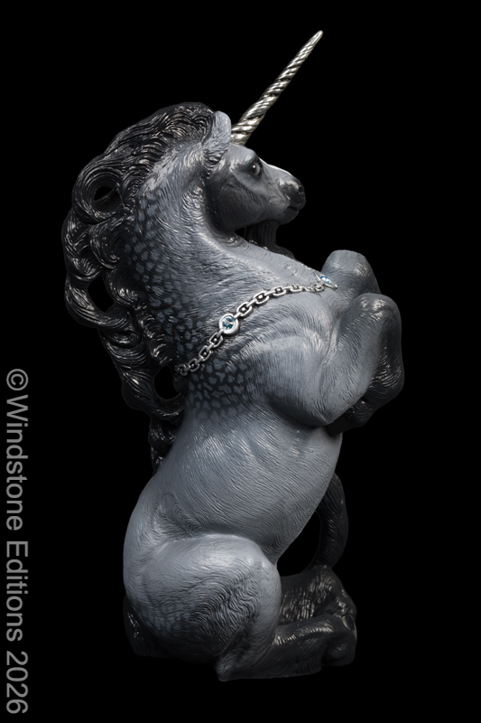 Male Unicorn Dapple Grey Pic3