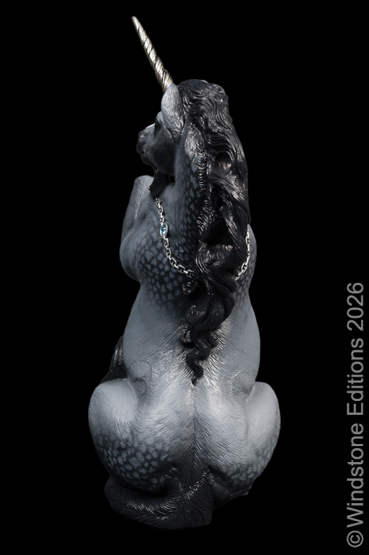 Male Unicorn Dapple Grey Pic4