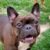 Profile picture of prettypitty