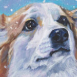 Profile picture of SnowSteele!