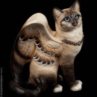 flip_flap_cat_lynx_point_siamese_1 