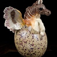 Quagga-Hatching-Pegasus 