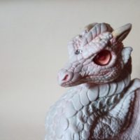 Albino Dragon- Face 