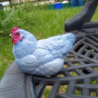 IMG_20250710_145009651 