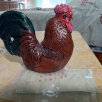 IMG_20251119_135807650_HDR 