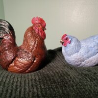 IMG_20251231_151721507 (1) 