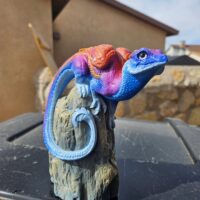 Spanish Shawl 