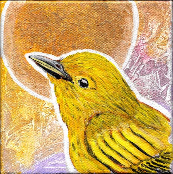 Bright yellow warbler