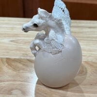 IMG_0302 