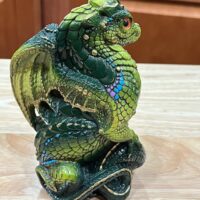 IMG_0351 