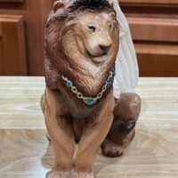 IMG_0328 