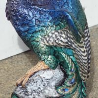 Peacock Phoenix 