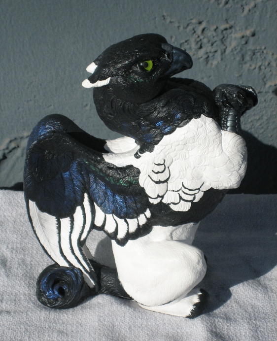 Black Billed Magpie griffin