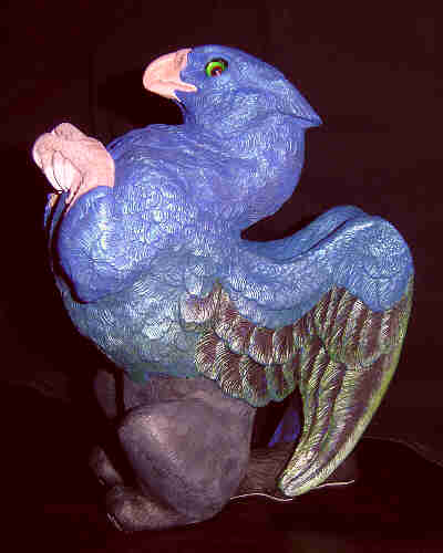 Black shouldered peacock griffen-left side 