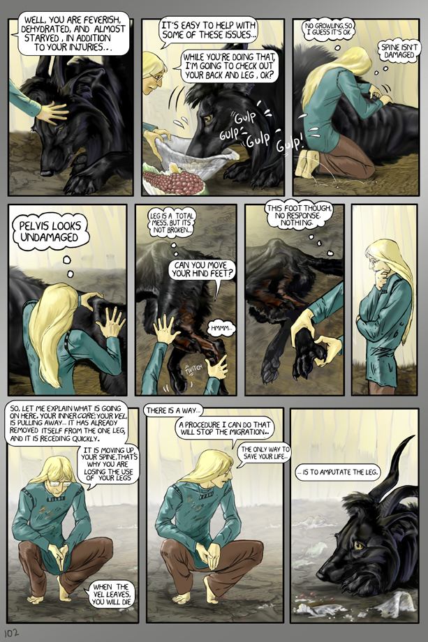 The Veligent – page 102
